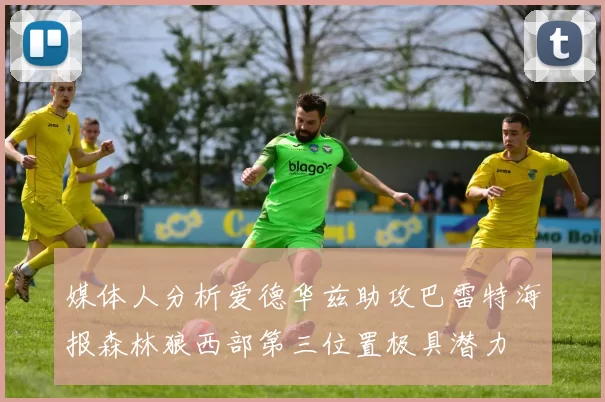 媒体人分析爱德华兹助攻巴雷特海报森林狼西部第三位置极具潜力