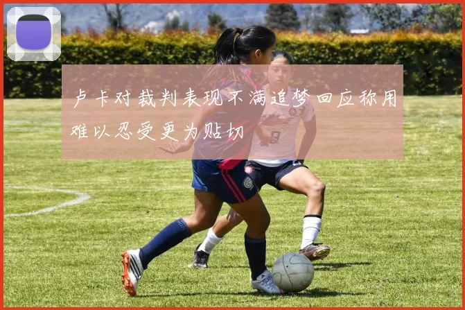 卢卡对裁判表现不满追梦回应称用难以忍受更为贴切